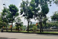 Bánh nhà quận 3, hẻm kinh doanh trục xuyên tâm lê văn sỹ, 65m2, ngang 6m bề thế 8 tỷ.