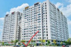 Bán đất nhà vườn kdc trần hưng đạo, ph ngọc châu, tp hd, 202.5m2, mt 10m, giá cực rẻ