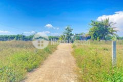 Đất hẻm dt 724, phú hội cũ, đức trọng, lâm đồng