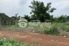 Chínhchủ cần bán đất xã láng dài,đất đỏ,bà rịa vũng tàu1,3triệum21000m2