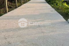 Bán nền thổ 5x23 mt kênh đường nguyễn văn sơn cách tl833 100m tại xã tân trụ tỉnh tây ninh