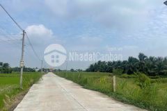 Bán nền thổ 5x23 mt bê tông 6m cách nhựa cao thị mai 300m thuộc xã tân trụ tỉnh tây ninh