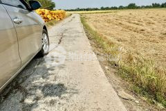 Bán nền thổ cư 5x30 mt đan 4m 1 xẹt nguyễn văn thọ vào 70m đường thông tại xã nhựt tảo tỉnh tây ninh