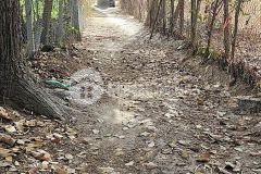 Cần bán 1,5ha đất long sơn quy hoạch thổ cư giá 1,5trm2