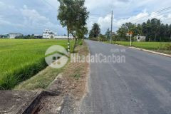 Bán đất mặt tiền cao thị mai, bình trinh đông, tân trụ dt 440,8m2 295,7m2 thổ giá 2,45 tỷ