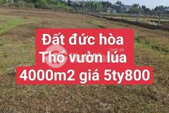 Bán 4000m2 đất 350m2 thổ đường đá xanh xe hơi xã đức hòa thượng, đức hòa giá 5,8 tỷ