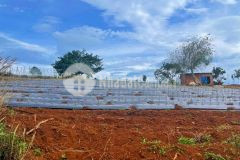 Bán 6000m2 đất có thổ cư xã tà hine,đức trọng,lâm đồng.giá 4 tỷ thương lượng