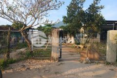 Bán căn nhà vườn diên lâm mặt đường nội thôn tặng vườn cây trái đủ loại