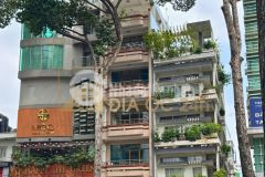 Vị trí vàng mặt tiền trần hưng đạo q1 7 tầng, nở hậu, diện tích sàn 500m về giá đầu 5x tỷ