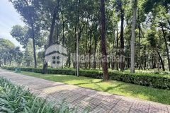 Đêm mất ngủ cùng siêu phẩm hàng xóm cv gia định 65m2 x 4 tầng vị trí nuột nà 9 tỷ xíu