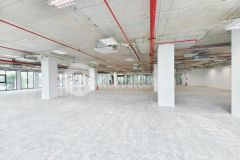 Cơ hội vàng cho doanh nghiệp nhà xưởng 950m2 giá chỉ 50km2