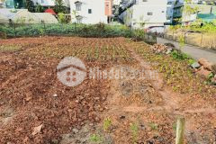 Bán lô đất xây biệt thự gần hồ xuân hương