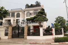 Bidv phát mại biệt thự lô góc solasta mansion dương nội gần đại học phenikaa 250m2 chỉ 3x tỷ.