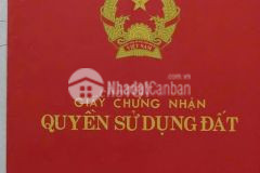 Bán đất nông nghiệp 12m x 34,3m, đường t12, bình chánh