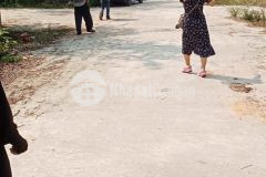 Sơ hưu lô đât ơ da lê gia chi vơi 531 tr