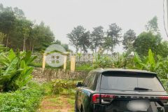 Bán đất xen ghép đôn hậu, khai quang, vĩnh yên. diện tích 133m2 đường 13,5m