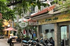 Bán biệt thự sân vườn quan hoa, cầu giấy an hưởng cuốc sống yên vui 228m2 56 tỷ 0913978689