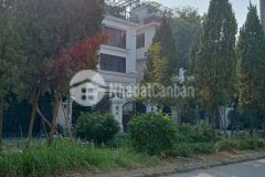 Ban biệt thự đơn lập xa la, hà đông, 226m, nhỉnh 50 tỷ