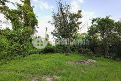 Đất thổ cư tu lễ, kim đường, 190m2, mt7.5m, nở hậu, 2 thoáng, 2 tỷ ứng hòa