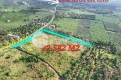 Bán đất xã phú hòa, định quán, đồng nai 122 x 192 23.499m2, giá 55 tỷ.