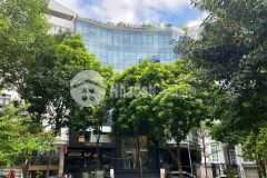 Bán tòa văn phòng phố dịch vọng hậu. dt 602m2, mt 21m. đang cho thuê 800trth. giá 350 tỷ