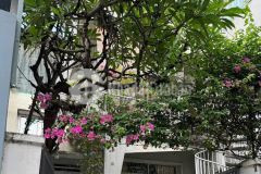 Biệt thự sân vườn q.phú nhuận, ngang khủng 7.25m, diện tích 160,8m² về giá chấn động