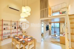 Căn hộ gác xếp 1br độc đáo tòa p25 sun urban city hà nam