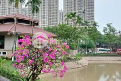 Ban chung cư cao cấp tera an hưng, hà đông, 90m, 3 ngủ, nhỉnh 7 tỷ