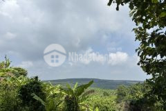 Tìm hàng xóm về chill cùng view thung lũng sát ql20 chưa đến 1 tỷ sở hữu quỹ đất sạch 2026