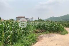 Bán lô đất tại tdp lay phường chũ bắc ninh