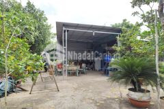 Siêu hiếm đất nhà vườn view sông hơn 3000m² ngang 43m chỉ 5trm² giá bao rẻ