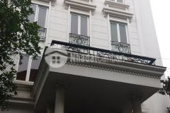 Bán biệt thự vườn đào ven hồ tây hà nội lô góc ô tô vỉa hè tầng hầm 168 tỷ đẳng cấp của đẳng cấp