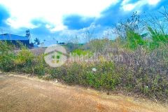 Đất phân lô hẻm hồ nam sơn, đức trọng, lâm đồng