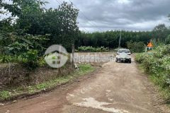 Bán đất diên tân giá rẻ phù hợp anh chị kiếm đất xây căn nhà nhỏ an cư