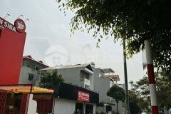 Bán đất biệt thự khu đấu giá 31ha,trâu quỳ,gia lâm 248m2 đường 15m view vườn hoa,dòng tiền