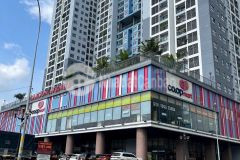 Cần bán đất phân lô khu vip đường 12, tam bình thủ đức dt 87m2 giá 6,7ty