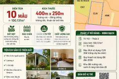 Bán vườn cao su diện tích lớn, sản lượng cao đã có sẵn nhà kho 400m x 250m giá 16 tỷ