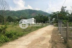 Bán đất khánh phú giá rẻ ngay ngã 3 nước nhĩ gần khu công nghiệp sông cầu