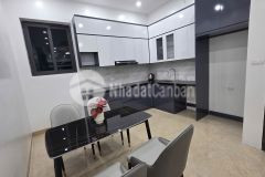 Nhà đẹp long lanh ngõ chợ khâm thiên, giá 11.9 tỷ, 53m2x5t, ảnh thật