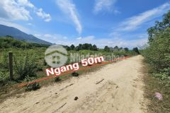 Bán lô đất vườn khánh đông đường thông sát bên tỉnh lộ 8 gần sông mát mẻ