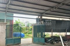 Bán gấp nhà đông thạnh, hóc môn 141m2 nở hậu tài lộc hẻm oto tới cửa chỉ 3.79 tỷ
