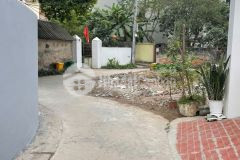 Hàng ngon như quỳnh 101,2m² ngô xuyên giá chỉ 3x trm² 0835459289