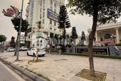 Bán đất biệt thự mặt đường đôi thanh bình kéo dài, khu đỉnh long, 2 mặt đường, tp hd, 194.96m2