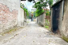 Bán đất trung tâm như quỳnh 300m² thổ cư giá cực sốc 0835459289