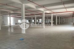 Cho thuê khoxưởng mới 10.000m² tại kcn quang minh pccc nghiệm thu