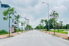 Bán đất góc trục chính đường huyền quang, kđt tân phú hưng, tp hải dương, 97.82m2, mt hơn 20m