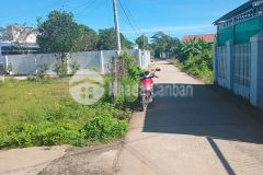 Chính chủ bán 504,5m2 đất mặt tiền lộ bê tông ôtô trung tâm trần đề lh0336067426.
