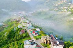 Lô đất view rừng thông bát ngát đẹp cung đường hoàng hoa thám nổi tiếng