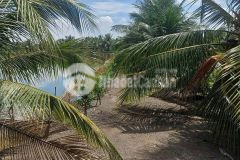 Bán đất xã bình lợi bình chánh, 10.387m2 sẵn 2 sổ hồng chỉ 2 tỷ1000m2. lh0978435476.
