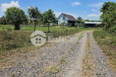 Bán đất vườn suối tiên giá rẻ sát bên hương lộ 39 cạnh nhà dân